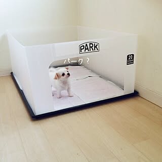 ウォールステッカー プラダンのおしゃれなアレンジ 飾り方のインテリア実例 Roomclip ルームクリップ