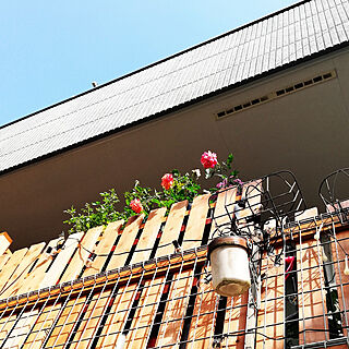 玄関/入り口/DIY/棚DIY/ミニ薔薇/鉢植え...などのインテリア実例 - 2022-05-24 09:10:55