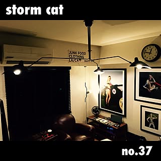 stormcatさんの実例写真