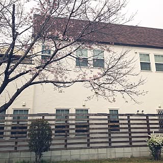 桜の木/輸入住宅/漆喰の家のインテリア実例 - 2016-03-31 10:53:43