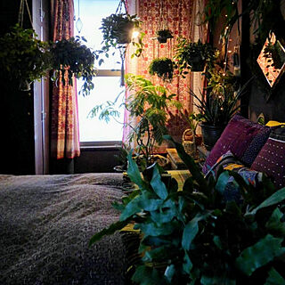 ベッド周り/観葉植物/柄物だらけの寝室/もと和室/観葉植物だらけ...などのインテリア実例 - 2019-03-19 23:26:24