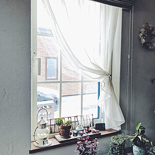 格子窓/窓枠DIY/窓枠/暮らしを楽しむ/植物のある暮らし...などのインテリア実例 - 2019-03-23 17:56:24