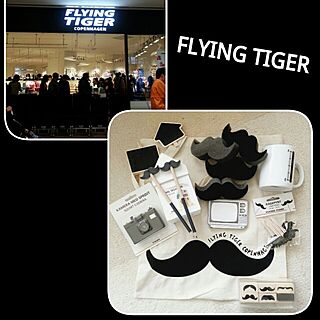 FlyingTiger/ヒゲばっか/戦利品/Tiger Copenhagenのインテリア実例 - 2014-03-23 13:55:44