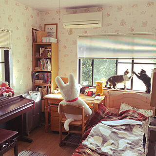 娘の留守中猫が使い放題/娘の部屋で遊ぶ猫/東京にいる娘の部屋/ねこのいる風景/部屋全体のインテリア実例 - 2021-02-11 23:35:43