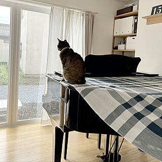 グランドピアノのある暮らし/猫と暮らす家/ねこのいる暮らし/リビングのインテリア実例 - 2022-09-28 11:34:33