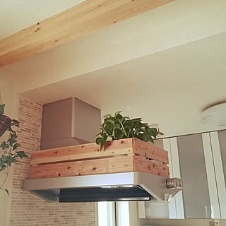 建て売りだけど…可愛くしたい(^^;/無垢の家/白がメイン/観葉植物のある暮らし/Ｏ型ですが、何か？！...などのインテリア実例 - 2017-04-09 20:48:03