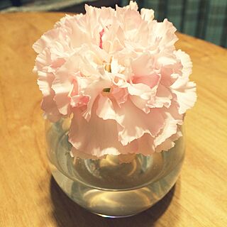 机/ピンク/flower/Flower Base/一輪挿しのインテリア実例 - 2015-02-22 22:27:04