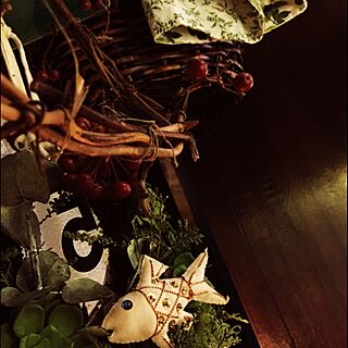 キッチン/おさかなさん/観葉植物のインテリア実例 - 2015-03-28 19:54:51