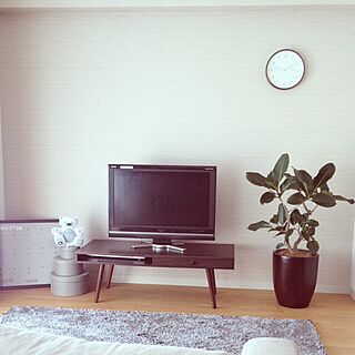 リビング/フィカスシーマ/IKEA/テレビ台/観葉植物のインテリア実例 - 2014-02-22 13:52:16