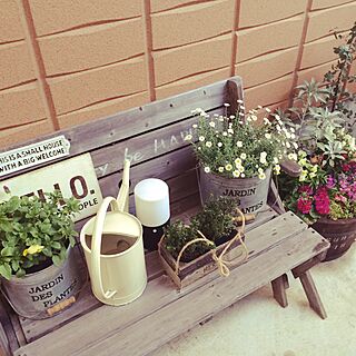 玄関/入り口/ガーデンコーナー/観葉植物のインテリア実例 - 2016-02-13 18:45:37