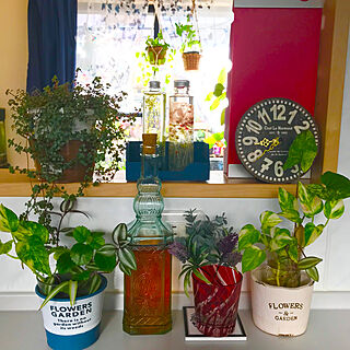 キッチン/ウイスキーの瓶/花と緑のある暮らし/観葉植物大好き❤︎/フェイクグリーン...などのインテリア実例 - 2018-11-06 06:37:02