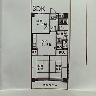 部屋全体/間取り図/引越し予定/3DK/社宅のインテリア実例 - 2015-01-31 21:11:56