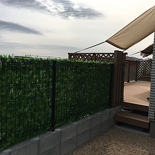 メッシュフェンス目隠しのインテリア実例 Roomclip ルームクリップ