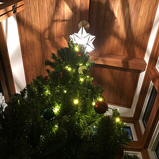 クリスマス/クリスマスツリー/ナチュラル/照明/コンサバトリー...などのインテリア実例 - 2019-10-28 10:20:56