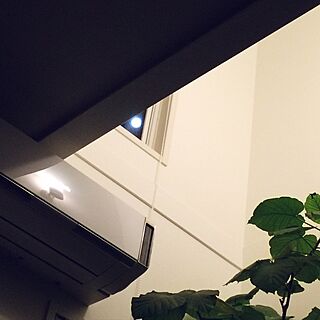 壁/天井/満月/観葉植物/ウンベラータのインテリア実例 - 2016-10-15 20:44:58