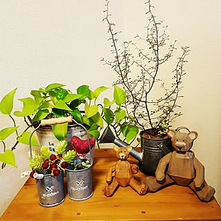 棚/観葉植物/ジョーロ型/コロキアのインテリア実例 - 2017-02-08 19:52:50