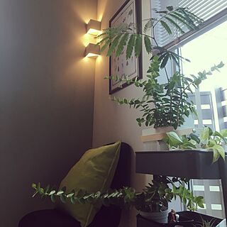 部屋全体/ダイニング照明/観葉植物/IKEA/植物...などのインテリア実例 - 2016-06-07 17:59:37