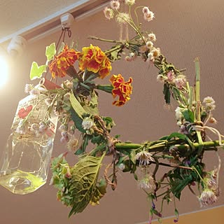 壁/天井/吊るすの大好き/お花のドライ/ドライフラワーのインテリア実例 - 2014-05-29 13:19:36