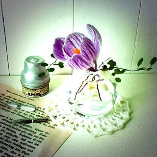 机/庭のお花/古いもの/植物のインテリア実例 - 2013-03-18 08:41:13