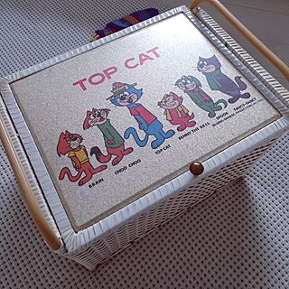 レトロ/おもちゃ箱/TOP CATのインテリア実例 - 2014-12-18 10:32:07