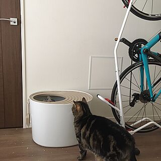 ベッド周り/自転車収納/アイリスオーヤマ/上から入る猫トイレ/猫トイレ...などのインテリア実例 - 2017-04-01 12:10:10