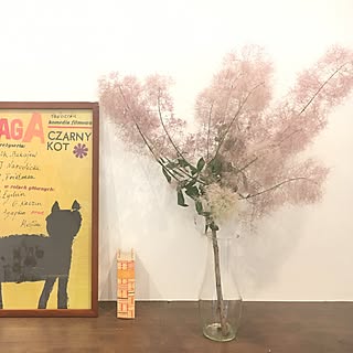 スモークツリー/日替わり投稿企画!月曜日/買ったもの/北欧ナチュラル/植物のある暮らし...などのインテリア実例 - 2017-06-12 18:13:51