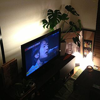 間接照明/テレビボード/TVボード/植物のインテリア実例 - 2013-03-24 23:49:07