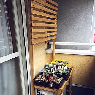 棚/室外機カバー製作中/室外機カバー/室外機カバーDIY/ベランダ多肉...などのインテリア実例 - 2016-04-13 10:49:00