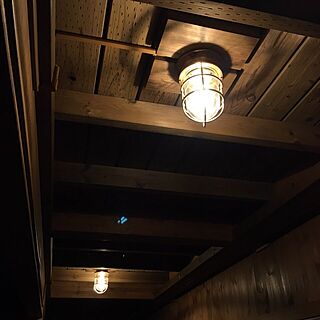 壁/天井/照明/BESSの家/ワンダーデバイスのインテリア実例 - 2016-03-10 21:53:16