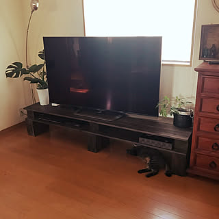 飯盒リメイク/ねこのいる生活/ねこのいる風景/テレビボードDIY/夏...などのインテリア実例 - 2020-08-17 17:20:44