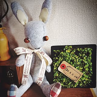 机/ハンドメイド♡/ウサギ/いつもいいねやコメありがとうございます♡/植物が好き...などのインテリア実例 - 2016-10-02 12:15:18