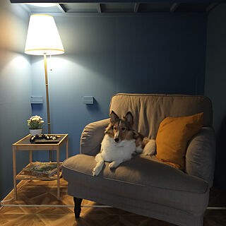 DIY/IKEA/犬/元押入れ/照明...などのインテリア実例 - 2021-01-27 20:11:01