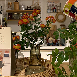 シュガーバイン/菊の花/植物のある暮らし/花のある暮らし/キッチンのインテリア実例 - 2021-11-04 17:21:44