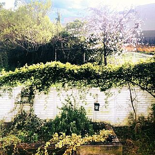 Garden*/ルーバーラティス/DIY 枕木花壇のインテリア実例 - 2014-03-31 12:43:48