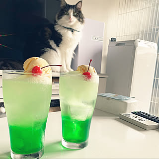 一人暮らし/カフェ風/猫がいる生活/ホワイトインテリア/100均...などのインテリア実例 - 2020-08-02 12:32:21