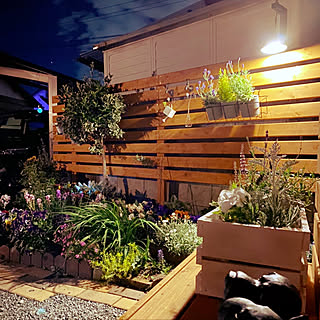 ジョイフル本田 ウッドフェンスの商品を使ったおしゃれなインテリア実例 Roomclip ルームクリップ