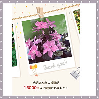 保存ありがとうございます❤︎/これからもよろしくです ◟⌣̈⃝◞❤︎/いいね、フォロー本当に感謝です♡/みなさんの優しさに感謝❤️/RCの出会いに感謝♡...などのインテリア実例 - 2020-07-16 15:06:46