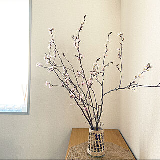 春/桜/観葉植物/ナチュラル/一人暮らし...などのインテリア実例 - 2021-03-14 11:44:25
