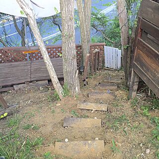 玄関/入り口/階段DIY/桧のインテリア実例 - 2017-05-07 17:26:55