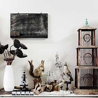 ビンテージ アンティークアトリエ鳥オブジェレトロ理科室