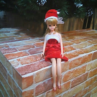 インテリアじゃなくてすみません/リカちゃん人形/リカちゃんの服/クリスマス/ツリーの囲い...などのインテリア実例 - 2017-12-17 20:12:50