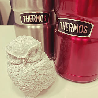 THERMOS/机のインテリア実例 - 2023-04-14 23:22:14