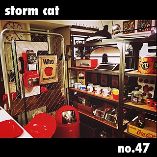 stormcatさんの実例写真