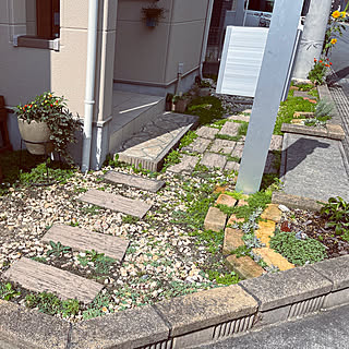 多肉植物/手作り花壇/ポスト周り/小道風ガーデン/電柱周り...などのインテリア実例 - 2022-09-14 09:21:52