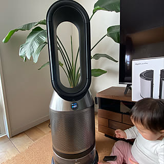 Dyson pure humidify/棚のインテリア実例 - 2021-12-04 11:11:47