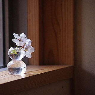 お花見/桜/暮らしを楽しむ/花のある暮らし/ベッド周りのインテリア実例 - 2021-03-30 22:05:44