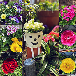 お庭のお花♡/春の訪れ/お庭の花たち/お庭/花のある暮らしを楽しむ...などのインテリア実例 - 2022-02-27 13:10:19