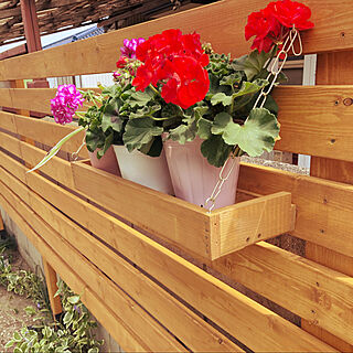 DIY/お庭/植木/ウッドフェンス/花壇...などのインテリア実例 - 2021-04-22 13:35:40