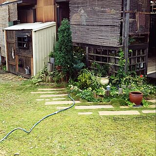 玄関/入り口/庭づくり/庭/植物/DIYのインテリア実例 - 2014-09-21 00:56:49