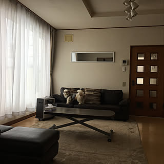 部屋全体/犬のいる暮らし/ソファ/中古住宅/持たない暮らし...などのインテリア実例 - 2019-01-23 11:13:16